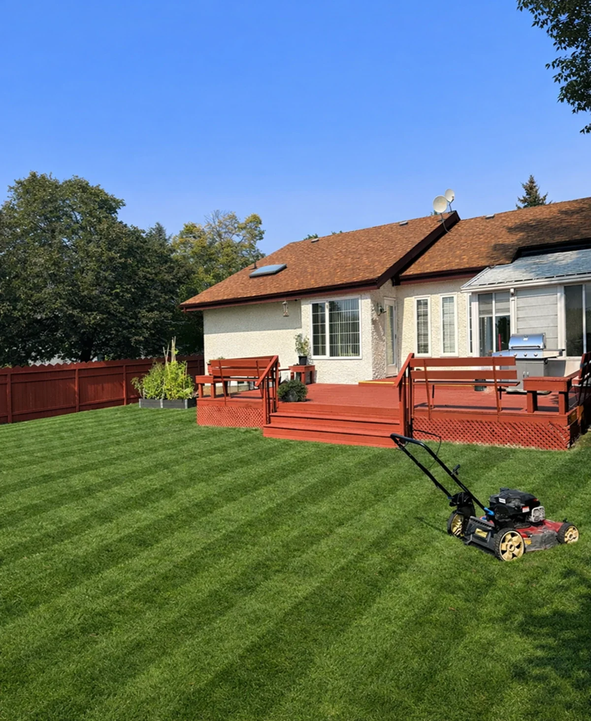 Sod installation Winnipeg by No-BS Yardwork