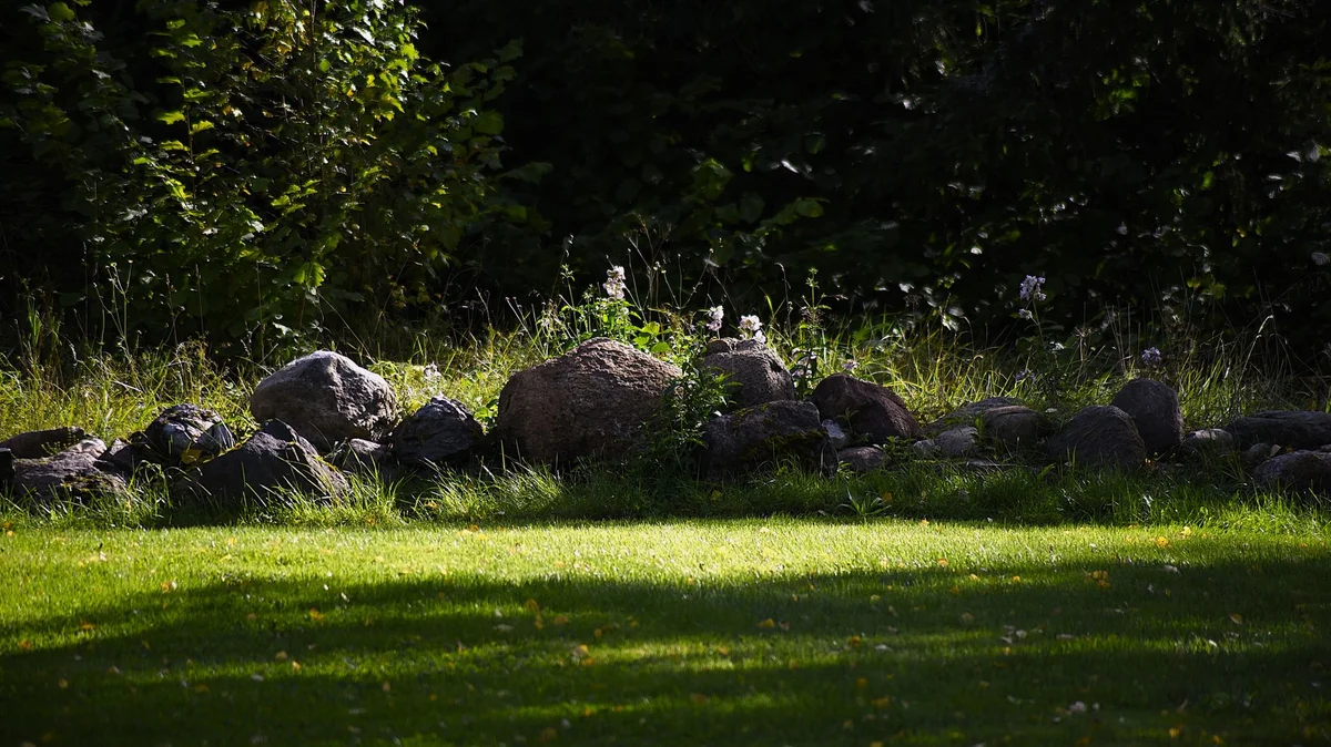 Green Winnipeg lawn in summer sunlight, No-BS Yardwork