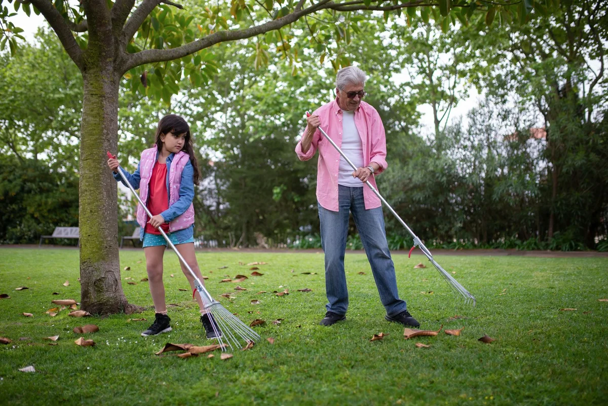 Leaf Removal Cost in Winnipeg — No-BS Yardwork