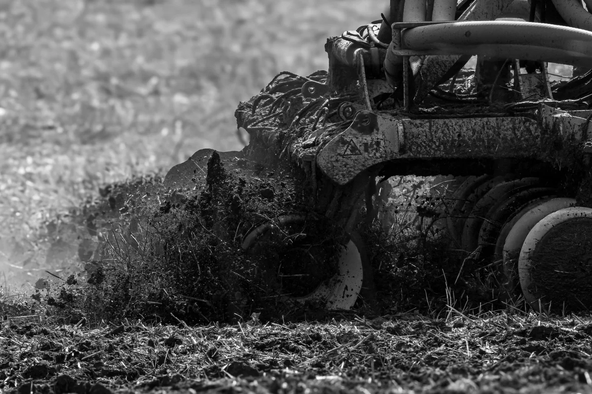 Power Raking vs. Aeration — No-BS Yardwork Winnipeg