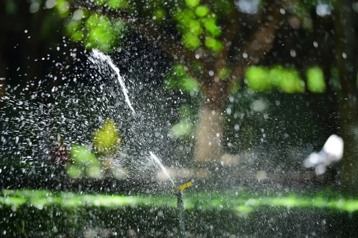 5 Summer Lawn Care Tips That Actually Work in Winnipeg — No-BS Yardwork