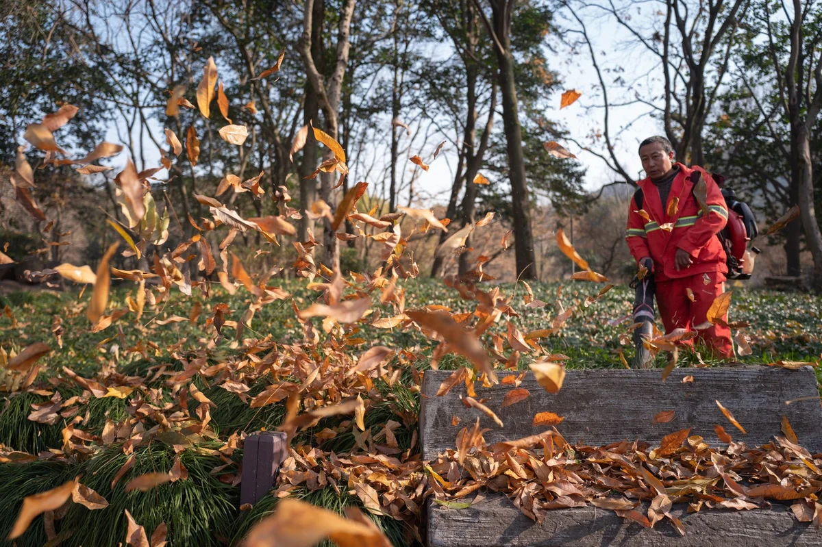 When to Book Fall Cleanup in Winnipeg — No-BS Yardwork