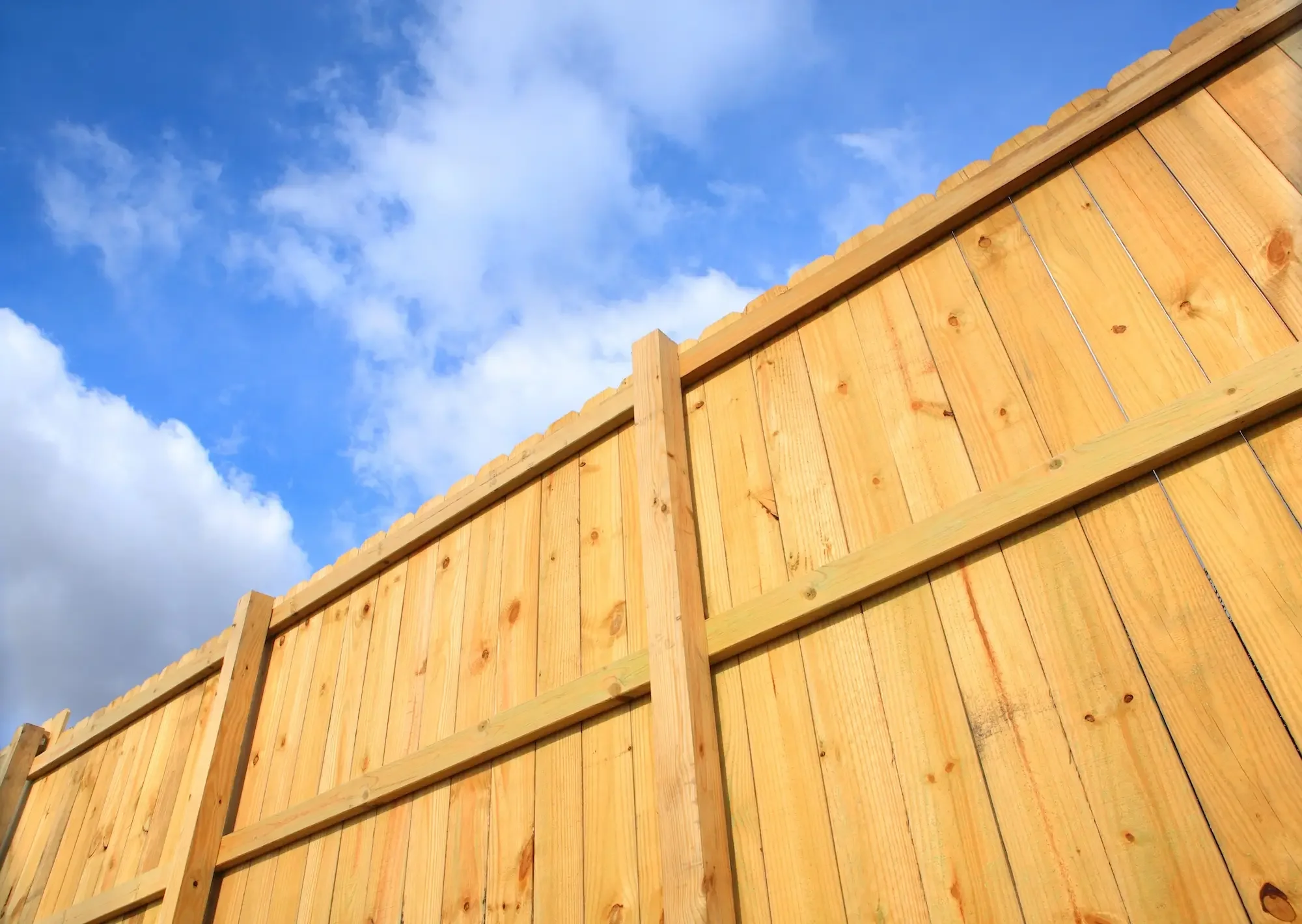 Front yard landscaping and garden beds in Winnipeg
