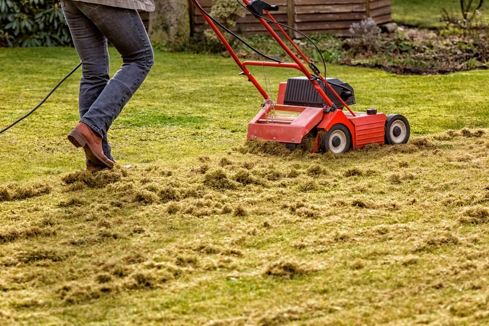 Spring cleanup with power raking and debris removal in Winnipeg