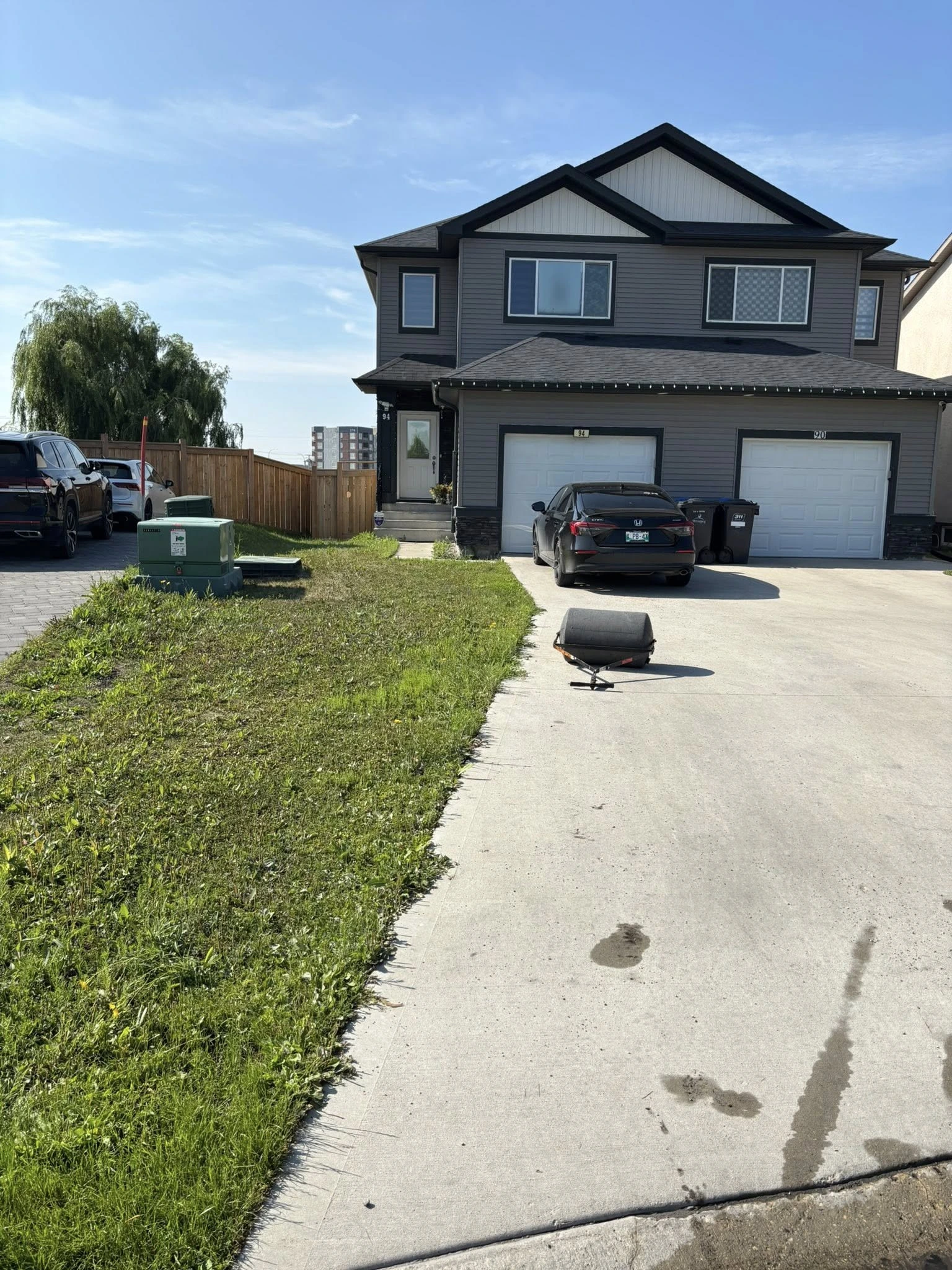 Winnipeg lawn overrun with weeds before treatment